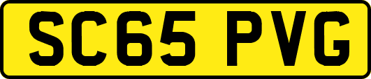 SC65PVG