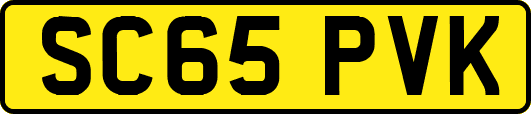 SC65PVK