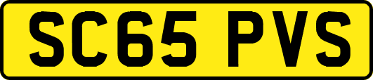 SC65PVS