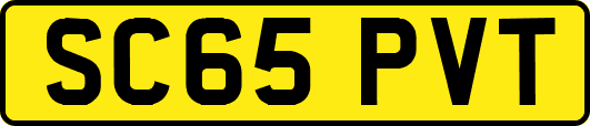 SC65PVT