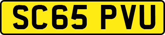 SC65PVU