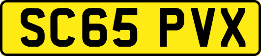 SC65PVX