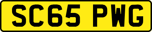 SC65PWG