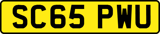 SC65PWU
