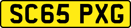 SC65PXG