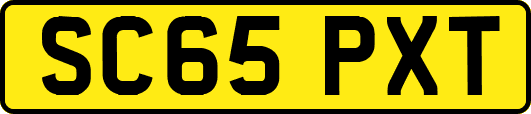 SC65PXT