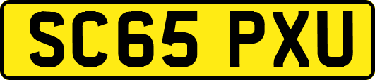 SC65PXU