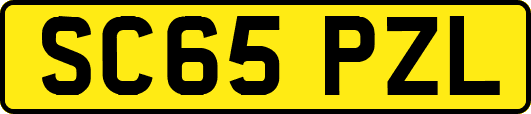 SC65PZL