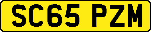 SC65PZM