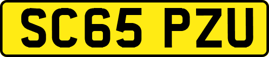 SC65PZU