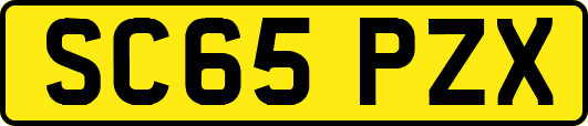 SC65PZX