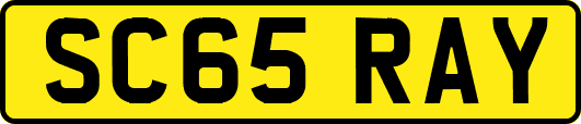 SC65RAY