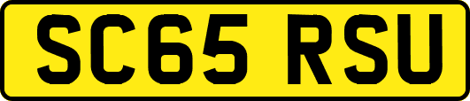 SC65RSU