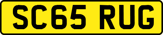 SC65RUG