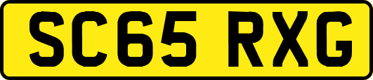 SC65RXG