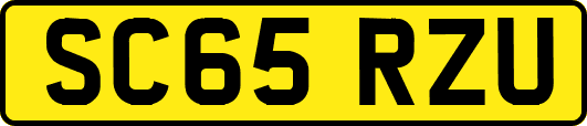 SC65RZU