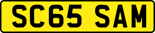SC65SAM