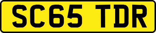 SC65TDR