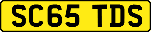 SC65TDS