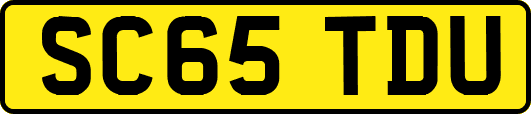 SC65TDU