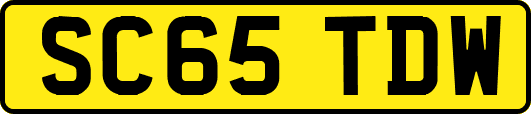 SC65TDW