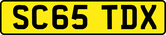 SC65TDX