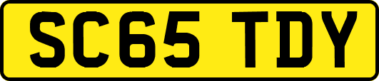 SC65TDY