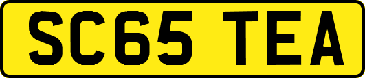 SC65TEA
