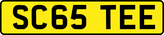 SC65TEE