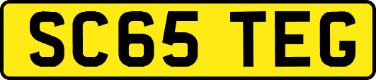 SC65TEG