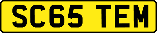 SC65TEM