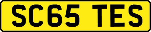 SC65TES