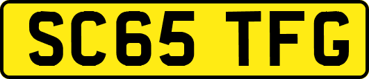 SC65TFG