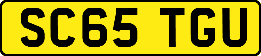 SC65TGU