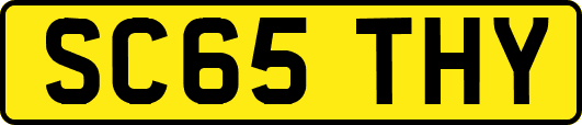 SC65THY
