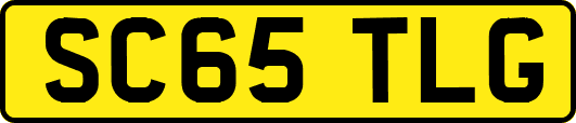 SC65TLG