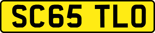SC65TLO