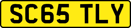 SC65TLY