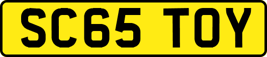 SC65TOY