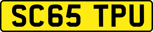 SC65TPU