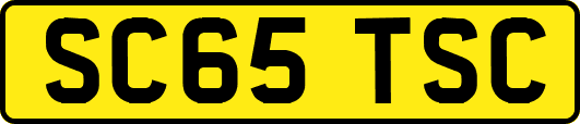 SC65TSC