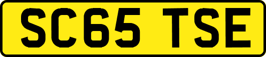 SC65TSE