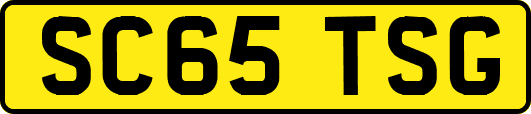 SC65TSG