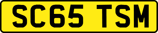 SC65TSM