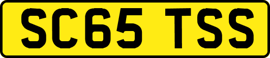 SC65TSS