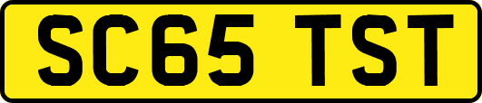 SC65TST