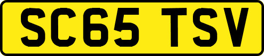 SC65TSV