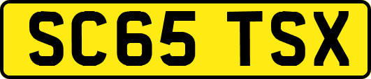 SC65TSX