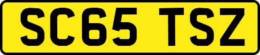 SC65TSZ