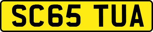 SC65TUA